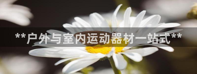 意昂3开户：**户外与室内运动器材一站式**