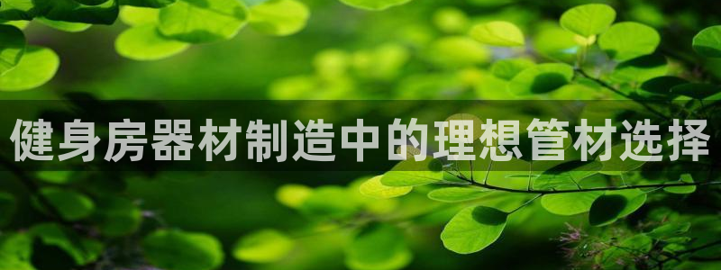 意昂体育3招商电话号码是多少：健身房器材制造中的理想