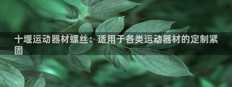 意昂3官方：十堰运动器材螺丝：适用于各类运动器材的定