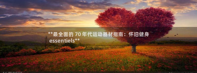 意昂3娱乐平台：**最全面的 70 年代运动器材指南