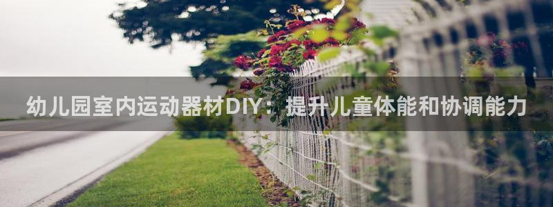 意昂3集团logo：幼儿园室内运动器材DIY：提升儿