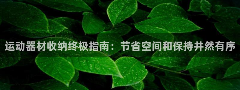 意昂体育3平台注册流程视频：运动器材收纳终极指南：节