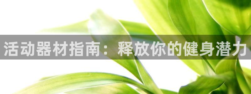 意昂3娱乐首页官网下载：活动器材指南：释放你的健身潜